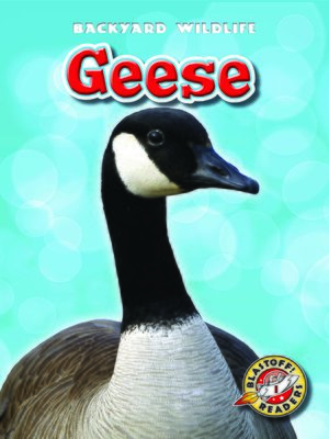 cover image of Geese